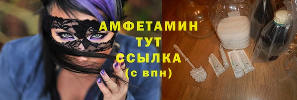 стаф Вязьма